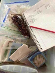 Seed Savvy: Keep Track of Your Stash Image